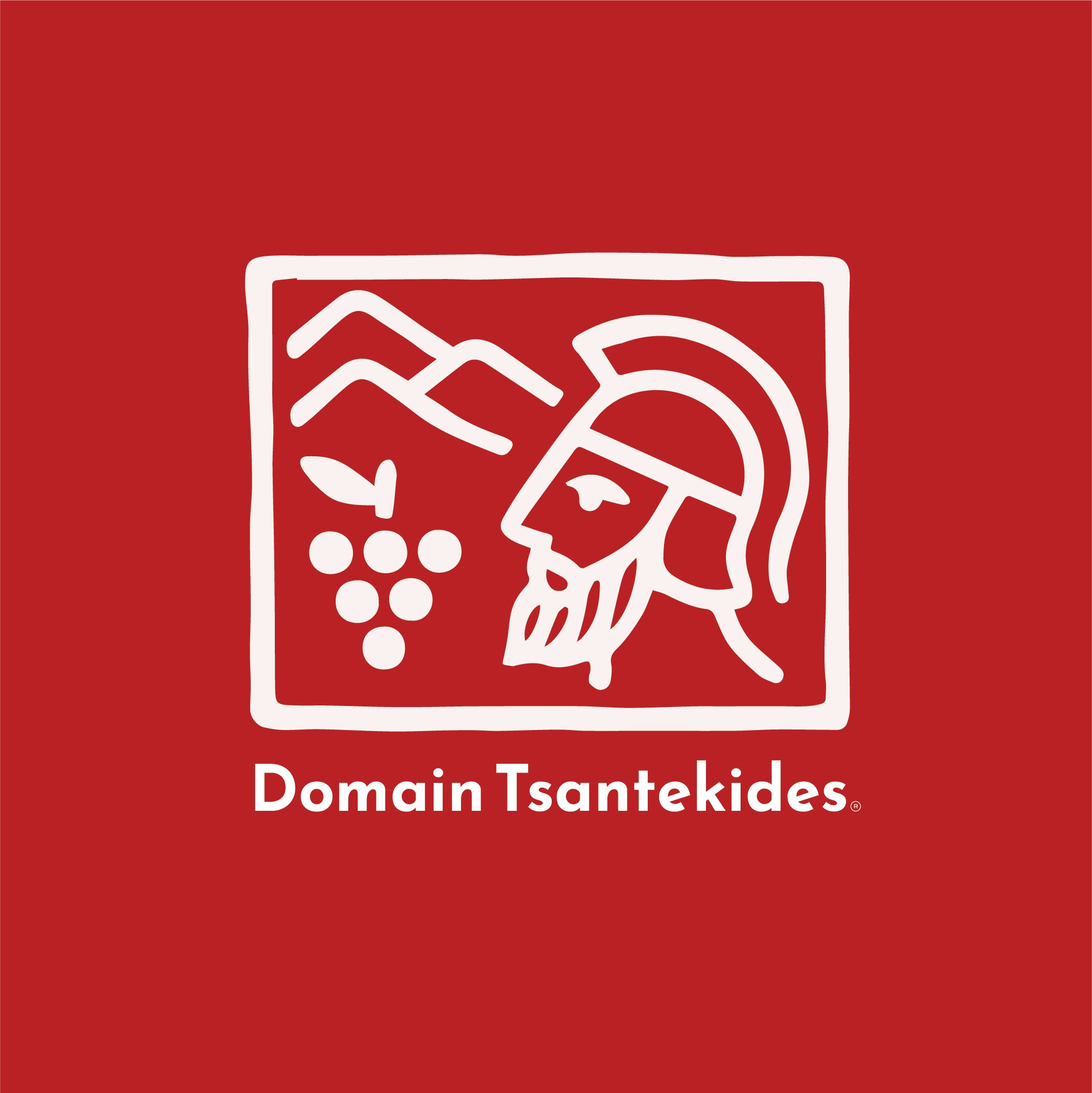 Domain Tsantekides cover